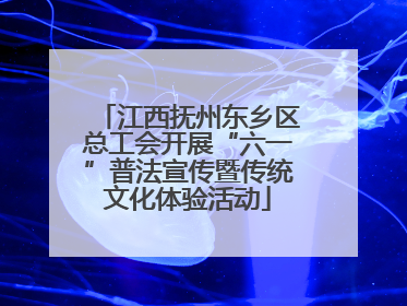 江西抚州东乡区总工会开展“六一”普法宣传暨传统文化体验活动