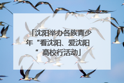 沈阳举办各族青少年“看沈阳、爱沈阳”高校行活动