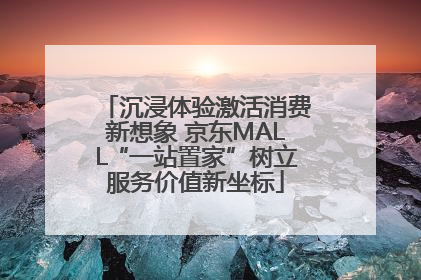 沉浸体验激活消费新想象 京东MALL“一站置家”树立服务价值新坐标