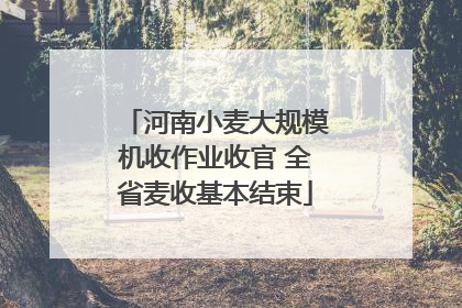河南小麦大规模机收作业收官 全省麦收基本结束