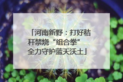 河南新野：打好秸秆禁烧“组合拳” 全力守护蓝天沃土