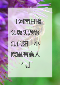 河南日报头版头题聚焦信阳｜小院里有高人气