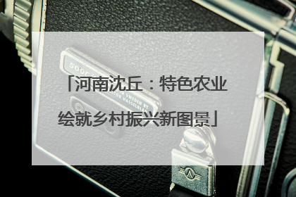 河南沈丘：特色农业绘就乡村振兴新图景