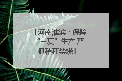 河南淮滨：保障“三夏”生产 严抓秸秆禁烧