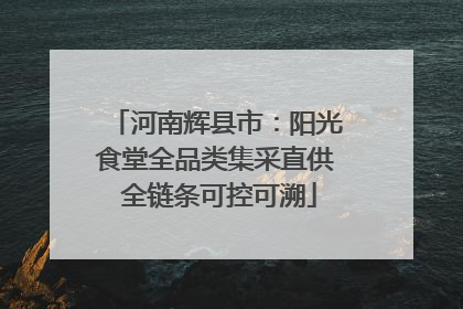 河南辉县市：阳光食堂全品类集采直供 全链条可控可溯
