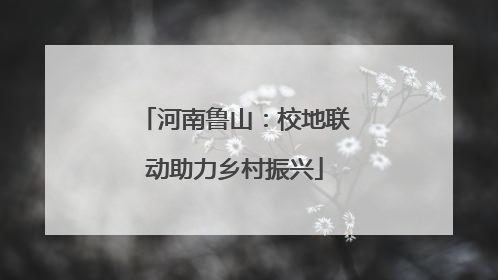 河南鲁山：校地联动助力乡村振兴
