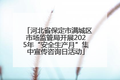 河北省保定市满城区市场监管局开展2025年“安全生产月”集中宣传咨询日活动
