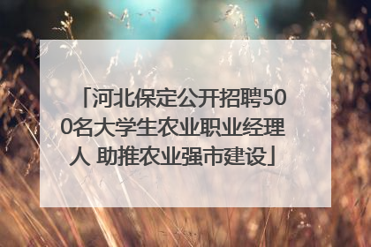 河北保定公开招聘500名大学生农业职业经理人 助推农业强市建设