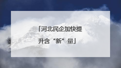 河北民企加快提升含“新”量
