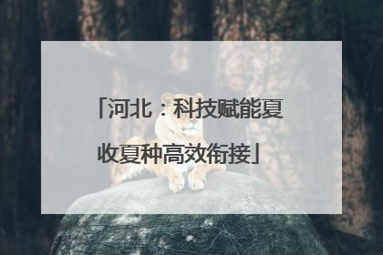 河北：科技赋能夏收夏种高效衔接