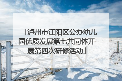 泸州市江阳区公办幼儿园优质发展第七共同体开展第四次研修活动