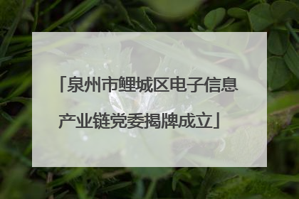 泉州市鲤城区电子信息产业链党委揭牌成立