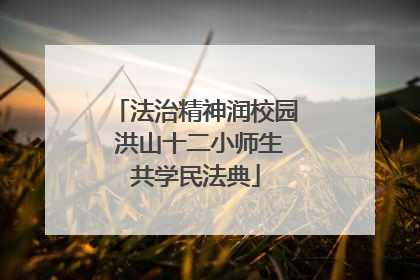 法治精神润校园 洪山十二小师生共学民法典