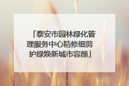 泰安市园林绿化管理服务中心精修细剪护绿焕新城市容颜