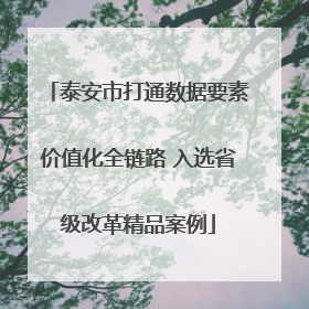 泰安市打通数据要素价值化全链路 入选省级改革精品案例