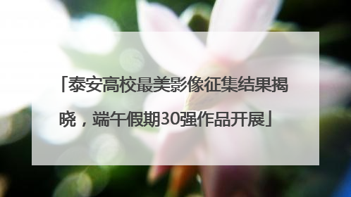 泰安高校最美影像征集结果揭晓，端午假期30强作品开展