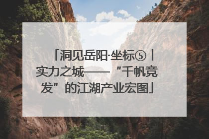 洞见岳阳·坐标⑤丨实力之城——“千帆竞发”的江湖产业宏图