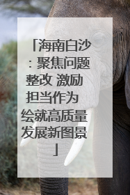 海南白沙：聚焦问题整改 激励担当作为 绘就高质量发展新图景