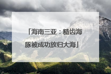 海南三亚：糙齿海豚被成功放归大海
