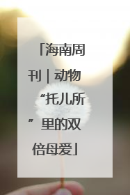 海南周刊｜动物“托儿所”里的双倍母爱