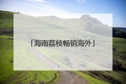 海南荔枝畅销海外