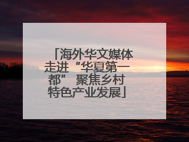 海外华文媒体走进“华夏第一都” 聚焦乡村特色产业发展