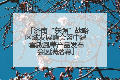 济南“东强”战略区域发展峰会暨中建·雲啟鳳華产品发布会圆满落幕