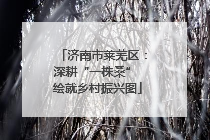 济南市莱芜区：深耕“一株桑” 绘就乡村振兴图