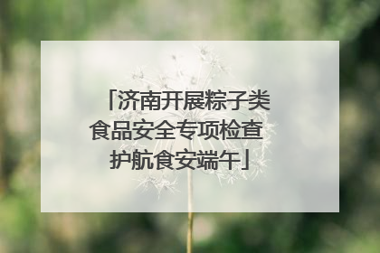济南开展粽子类食品安全专项检查 护航食安端午