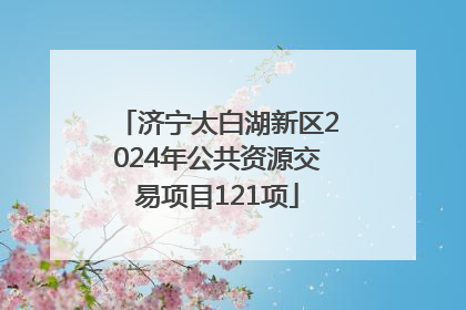 济宁太白湖新区2024年公共资源交易项目121项