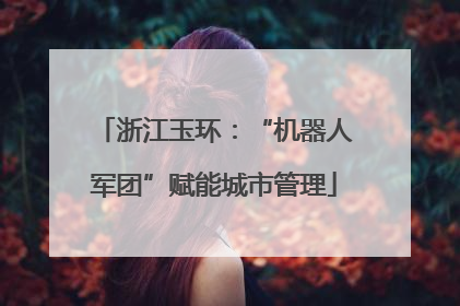 浙江玉环：“机器人军团”赋能城市管理