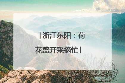 浙江东阳：荷花盛开采摘忙