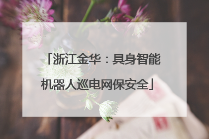 浙江金华：具身智能机器人巡电网保安全