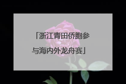 浙江青田侨胞参与海内外龙舟赛