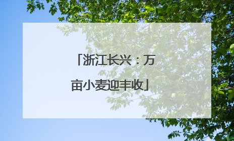 浙江长兴：万亩小麦迎丰收