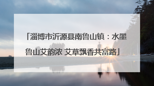 淄博市沂源县南鲁山镇：水墨鲁山艾韵浓 艾草飘香共富路