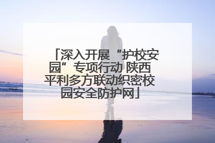 深入开展“护校安园”专项行动 陕西平利多方联动织密校园安全防护网