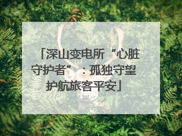 深山变电所“心脏守护者”：孤独守望护航旅客平安