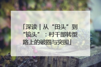 深读｜从“田头”到“镜头”：村干部转型路上的破圈与突围