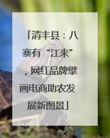 清丰县：八寨有“江来”，网红品牌擘画电商助农发展新图景