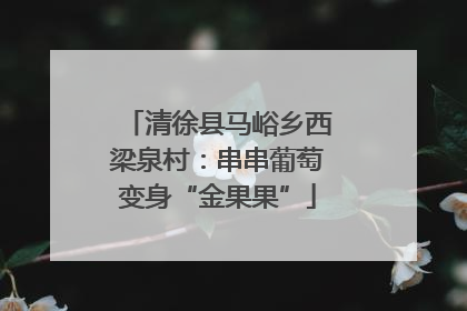 清徐县马峪乡西梁泉村：串串葡萄变身“金果果”