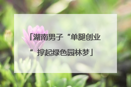 湖南男子“单腿创业”撑起绿色园林梦