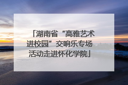 湖南省“高雅艺术进校园”交响乐专场活动走进怀化学院