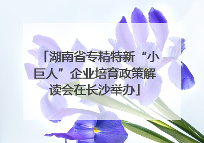湖南省专精特新“小巨人”企业培育政策解读会在长沙举办