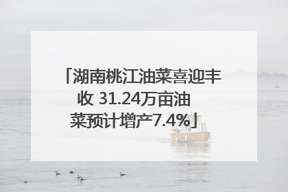 湖南桃江油菜喜迎丰收 31.24万亩油菜预计增产7.4%