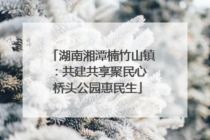 湖南湘潭楠竹山镇：共建共享聚民心 桥头公园惠民生