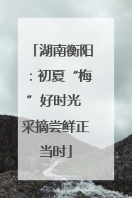 湖南衡阳：初夏“梅”好时光 采摘尝鲜正当时