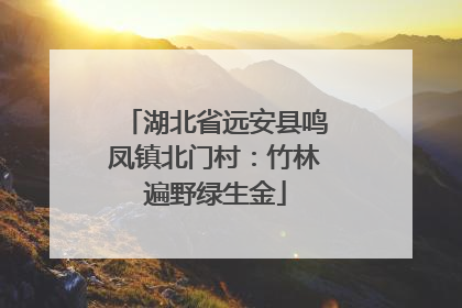 湖北省远安县鸣凤镇北门村：竹林遍野绿生金