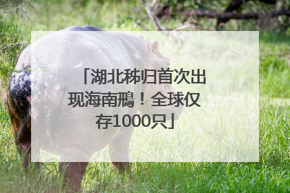 湖北秭归首次出现海南鳽！全球仅存1000只