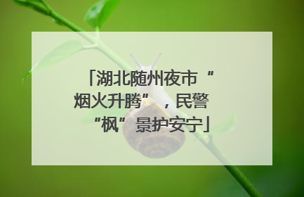 湖北随州夜市“烟火升腾”，民警“枫”景护安宁